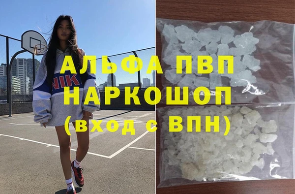 амф Новокубанск