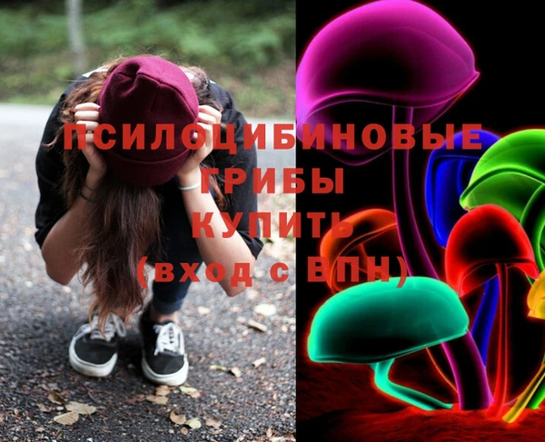 амф Новокубанск